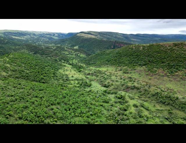 FARM FOR SALE IN MIDDELBURG RURAL